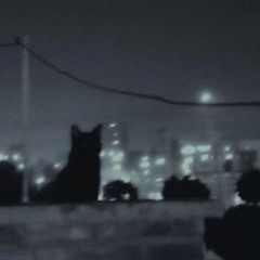 meow