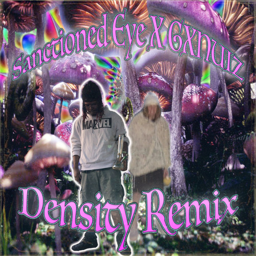SANCTIONED EYE X GXNUIZ - DENSITY REMIX(prod. BLEAK)