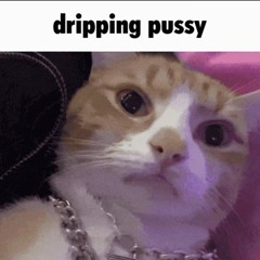 Dirty Tunes Mush