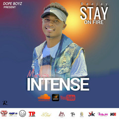 MIXTAPE_-_ INTENSE_ BY_ DJ_STAY.mp3