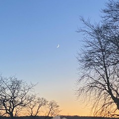 Sonic Mega Collection - Extras menu / History (Covered)