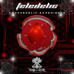Teledelic - Psychedelic Experience (144BPM #F)