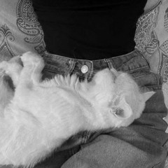 حسام الرسام وداعت امي