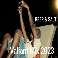 VALIANT BEER & SALT CLEAN MIXTAPE / VALIANT MIX 2023 CLEAN / Culture Mix