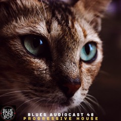 Blues Audiocast 48 ~ #ProgressiveHouse Mix