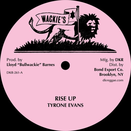 DKR261B - Tyrone Evans - Rise Up Dub