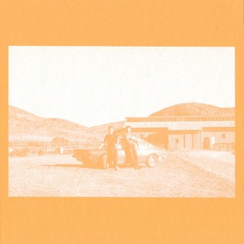 The Frenzied Bricks - (Can I) Bridge The Gap (ES025) OUT NOW