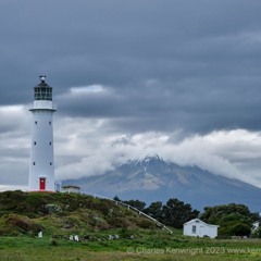 Cape Egmont, North Island, Aotearoa New Zealand