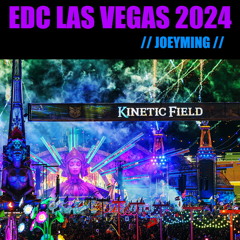 IF I PLAYED EDC LAS VEGAS 2024