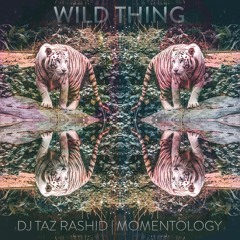 Wild Thing  - DJ Taz Rashid & Momentology