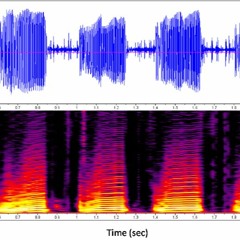 The Bells Are Coming.