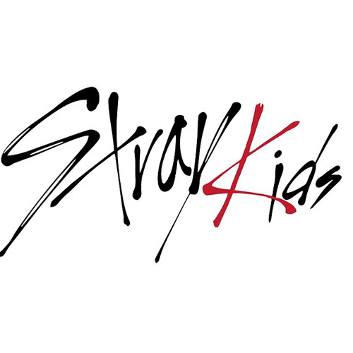Stray Kids Remix