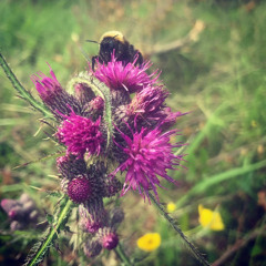 Easter Weekender - April 22