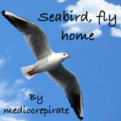 Seabird, Fly Home