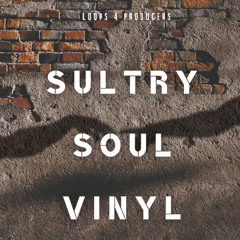 Loops 4 Producers - Sultry Soul Vinyl