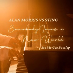 Somebody Loves a New World - Alan Morris Vs Sting (Ste Mc Gee Bootleg)