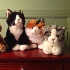 no one cares but i really do need some help lmao