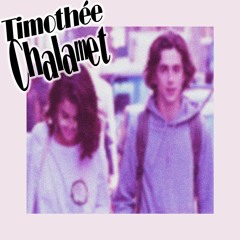 seywool - timothée chalamet (prod. exchains)