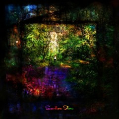 Wild Nature