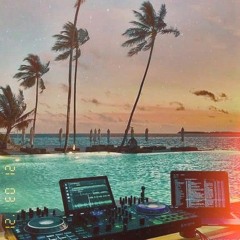 TECH HOUSE that's all and it is just perfect ( PRIVATE PARTY )