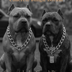 Concrete Jungle Dreams