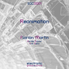 Florian Martin - Reanimation (Eva Gallo Remix)