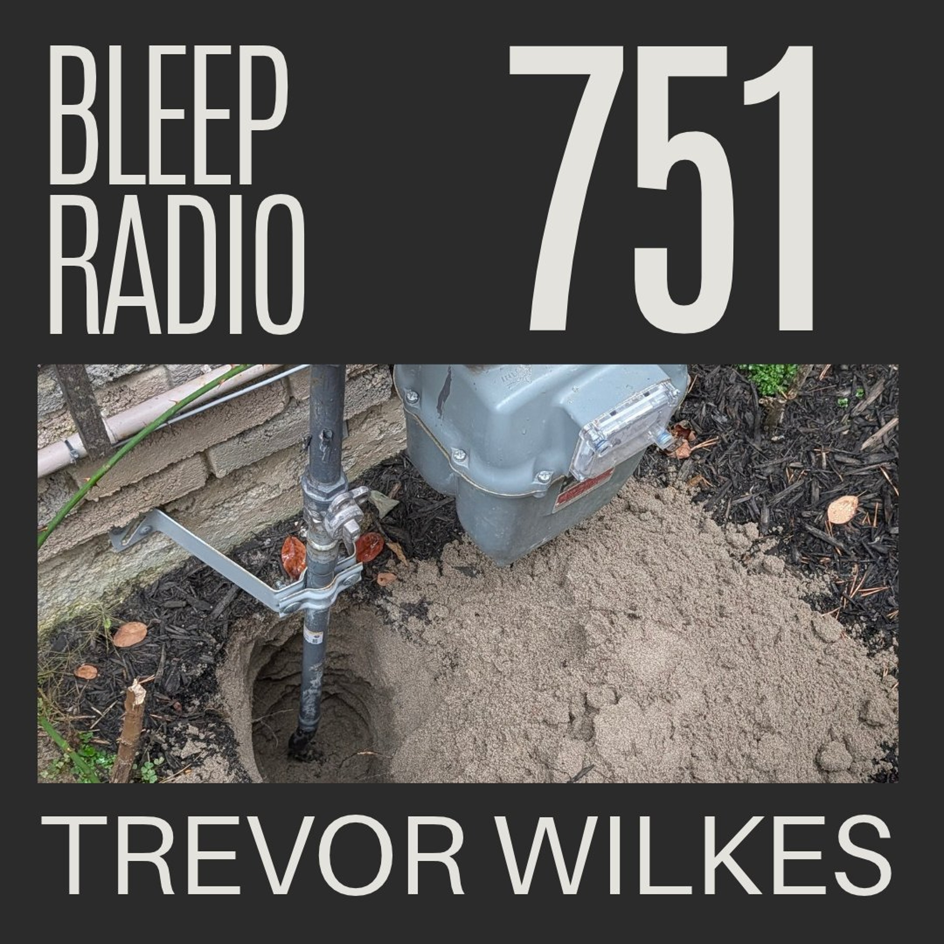 Bleep Radio #751 - Trevor Wilkes [3rd Jerk, You're Out] episode artwork