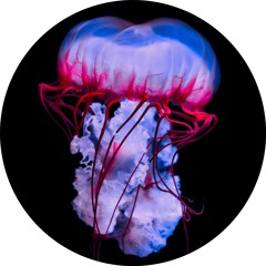 Singer Of Souls [free download]