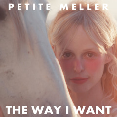 petite meller backpack