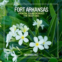 Fort Arkansas - The Deep End (Croatia Squad Remix Edit)