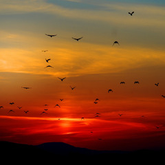 nicht verdient/geliebt (LiveaufLevel/Mit Band)