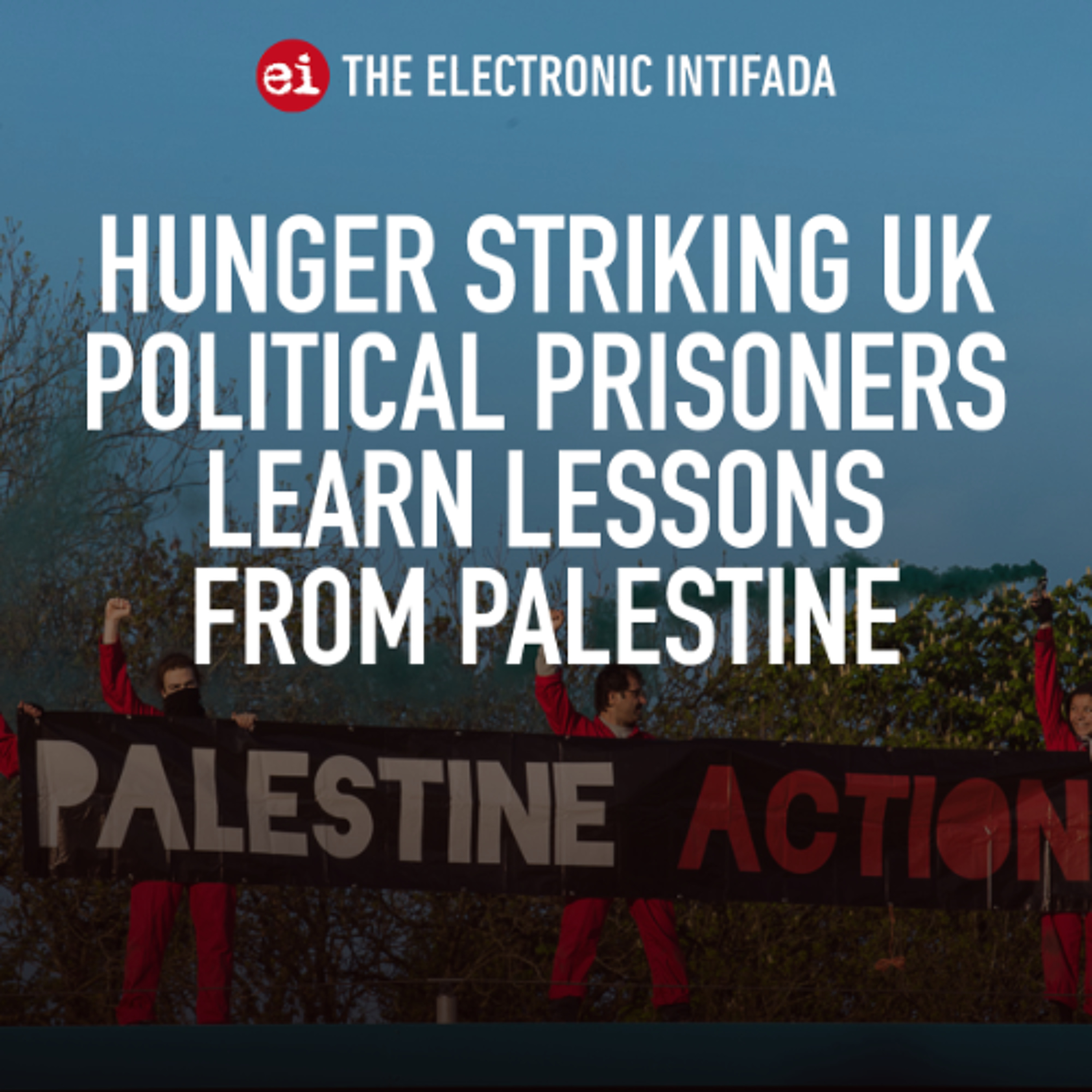 The Electronic Intifada