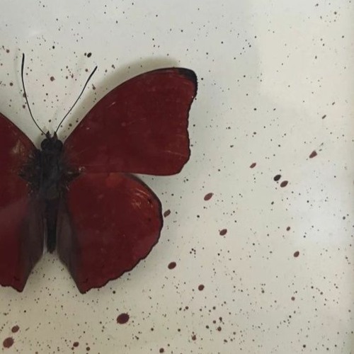 save me from myself (Out on Spotify)