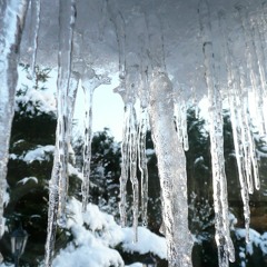 Go Where Your going To