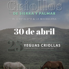 Kevin Carpenter - Caballos Criollos