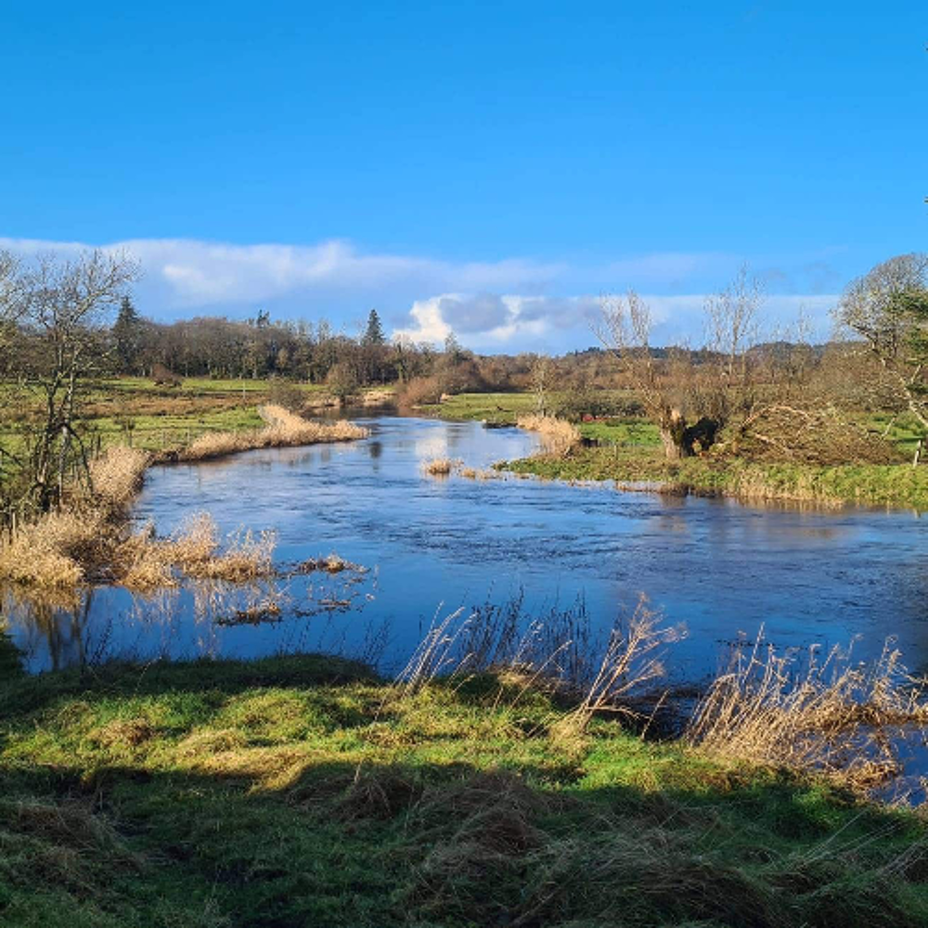 Peche en irlande