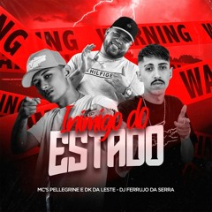 Mc Pellegrine e DK da Leste - Inimigo do Sistema ( DJ Ferrujo da Serra )