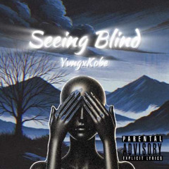 Seeing Blind