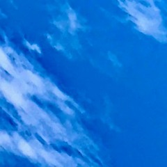 Sea Shine, Sea Shadow