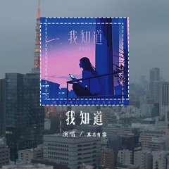 真名有雪 - 我知道（原唱：BY2）「我知道你还是爱着我，虽然分开的理由我们都已接受」(4k Video)【動態歌詞/pīn yīn gē cí】#真名有雪 #我知道 #BY2 #動態歌詞