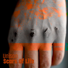Scars Of Life