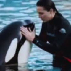 Full**News Jessica orca angriff jessica orca attack orca attack jessica radcliffe jessica radcliffe attack full twitter