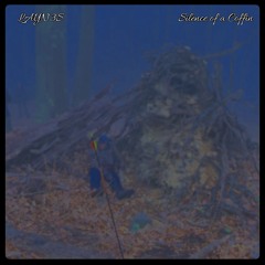 Silence of a Coffin 23’