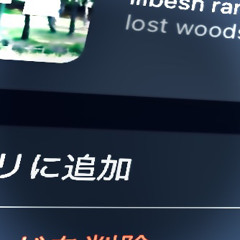 lost woods (onidahouse remix)