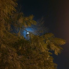 سورة الحجر كاملة - ليلة ٢٨ رمضان