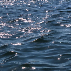 Swim-ADOY (sped up)