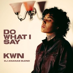 Do What I Say (DJ ANANAS BLEND)