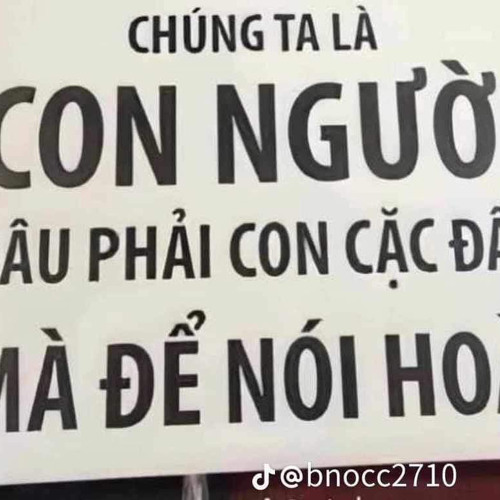 Chơi tài xỉu bao báo nhà-PVTruong
