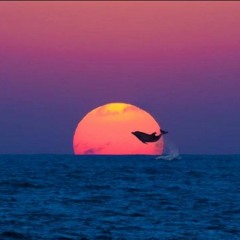 A Journey Into Trance Classics Vol. II