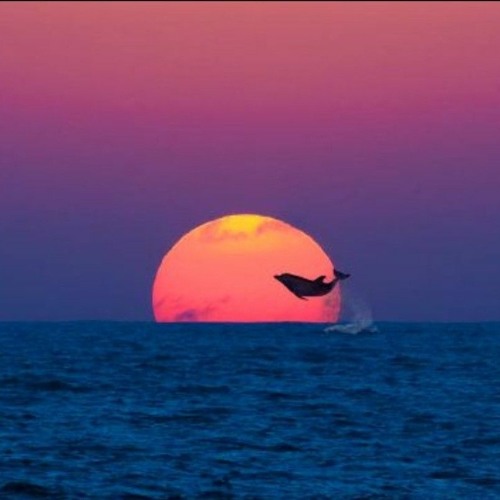 A Journey Into Trance Classics Vol. II